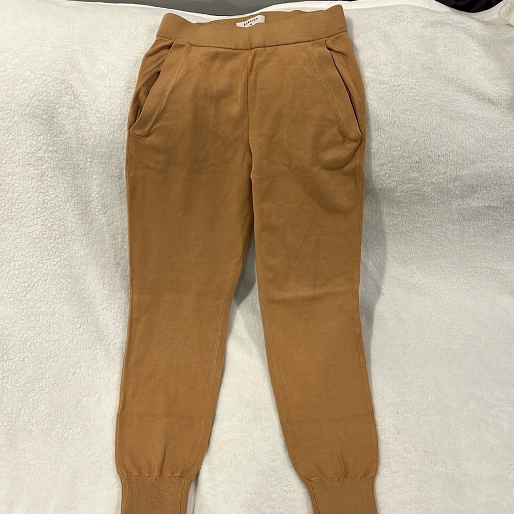 Aritzia Babaton Joggers